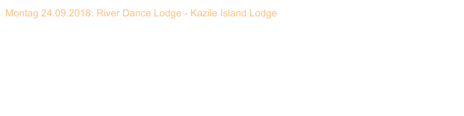 Montag 24.09.2018: River Dance Lodge - Kazile Island Lodge   Nach dem Frhstck verlassen wir die River Dance Lodge zu unserem nchsten Etappenziel. Es geht auf dem Caprivi-Highway  nach Kongola und dann weiter zum Parkplatz der Kazile Campsite. Die Kazile Island Lodge liegt, ca. 12 km von Kongola entfernt, auf einer privaten Waldinsel in der Schwemmlandschaft des Kwando. Die Insel kann nur per Boot erreicht werden und so heit es Gepck aufs Boot laden und Leinen los. Nach einer kurzen Bootsfahrt haben wir die Lodge erreicht. Wir beziehen eins der zehn Zelte im Merustil, die im Schatten mchtiger Mangostan-Bume aufgeschlagen sind. Vom Zelt aus hat man eine wunderbare Aussicht auf den Kwando und das weitreichende Schwemmgebiet zwischen der Waldinsel und der berhmten Horseshoe Lagoon. Viel Zeit um die Aussicht zu genieen bleibt uns heute allerdings nicht, denn schon am Nachmittag nehmen wir an einer Bootsfahrt auf dem Kwando teil.            _________________________________________________________________________________________________________________